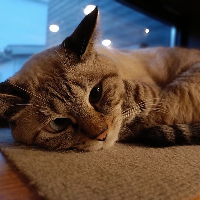 Atelier_tamakiさんの部屋