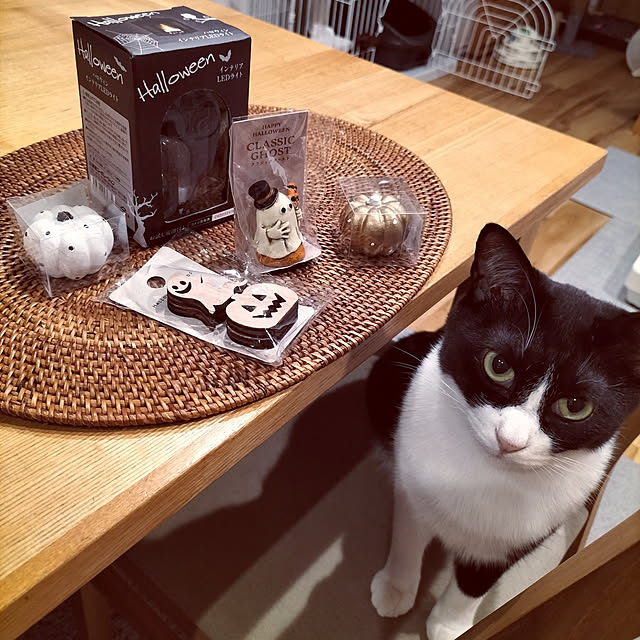 hihaさんの実例写真