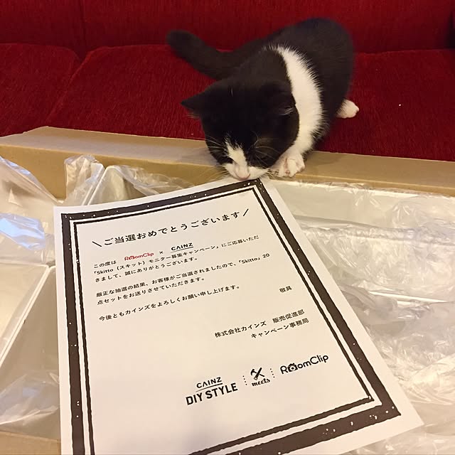 butachanさんの実例写真
