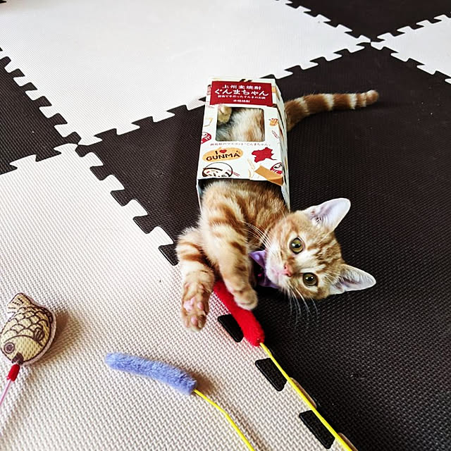 maicoさんの実例写真