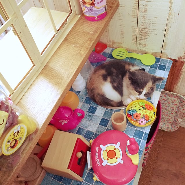 bambi_eyeさんの実例写真