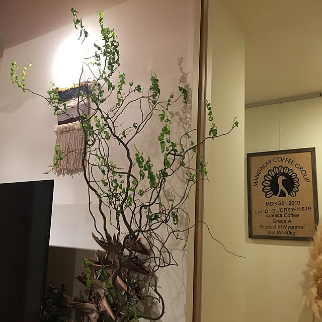 pitaさんの実例写真