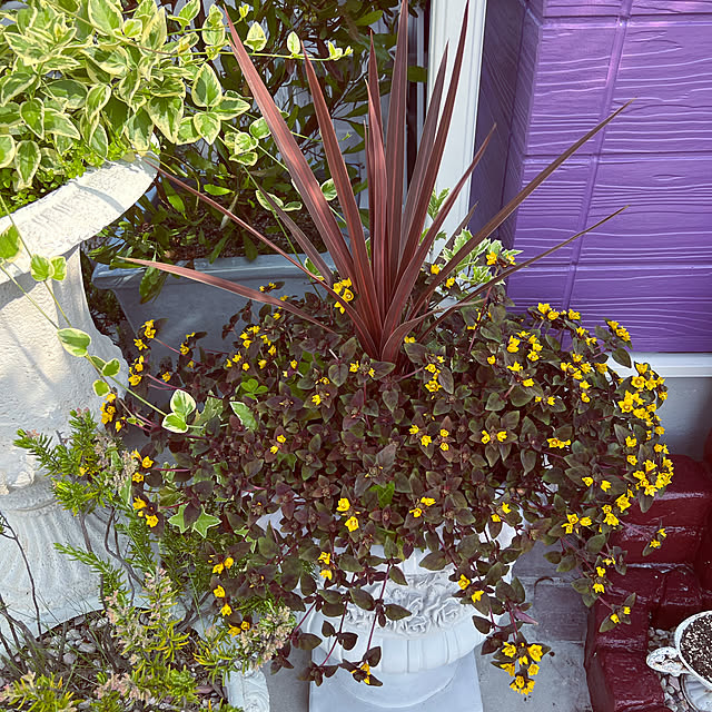 AYUKOさんの実例写真