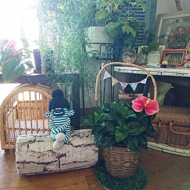 akiさんの実例写真