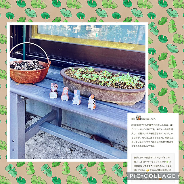 CoCo0617さんの実例写真
