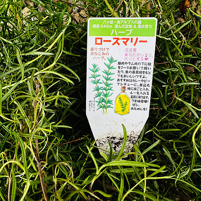 chacoさんの部屋