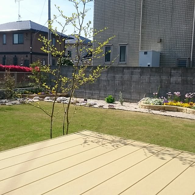 teruさんの実例写真