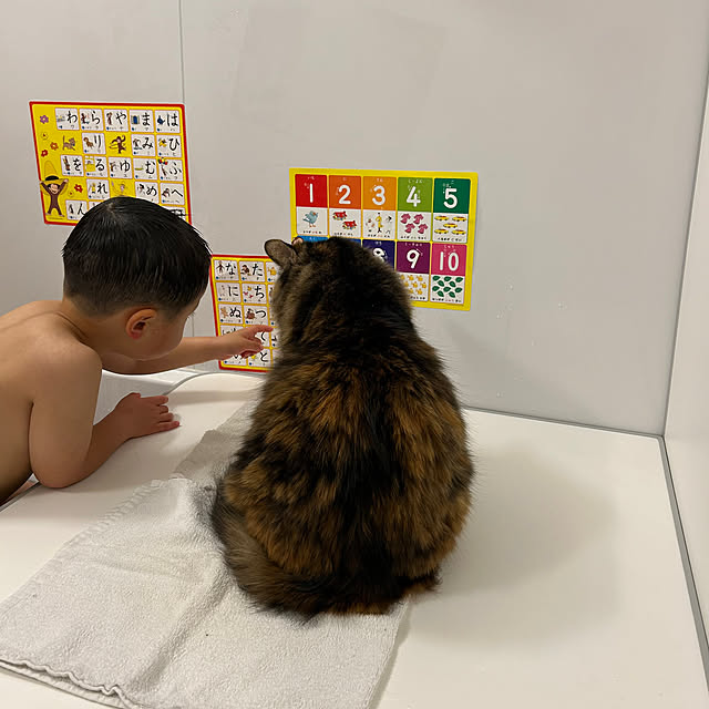 mikomaruさんの実例写真