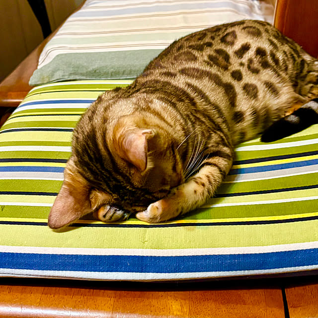 tututu0204さんの部屋