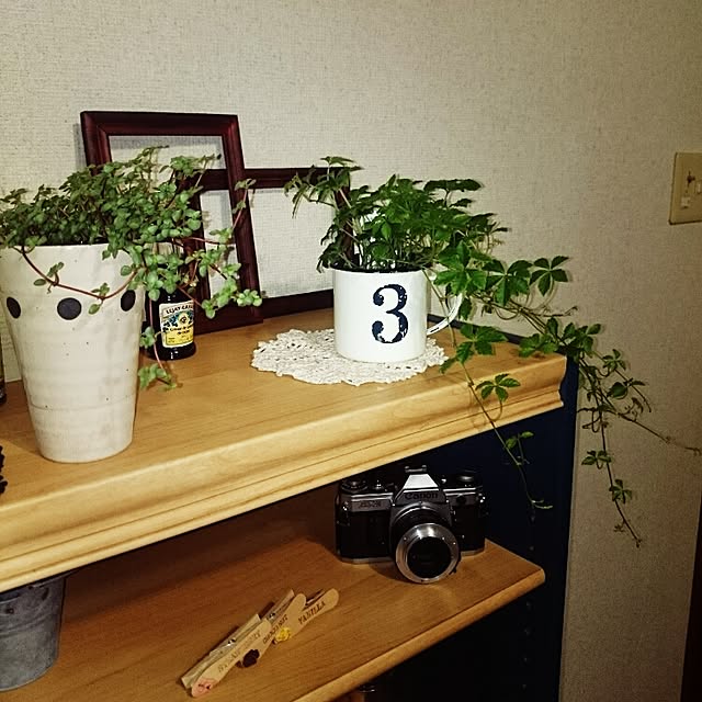 kayokoさんの実例写真