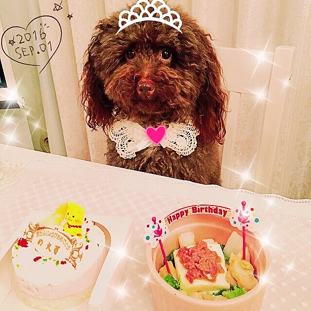 noelさんの実例写真