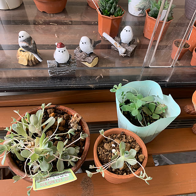 Aqettyさんの部屋