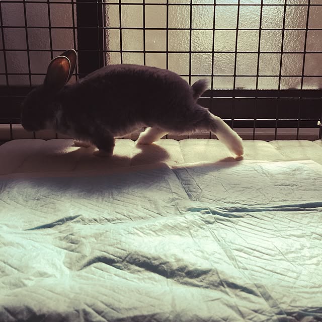 T.hinaさんの実例写真