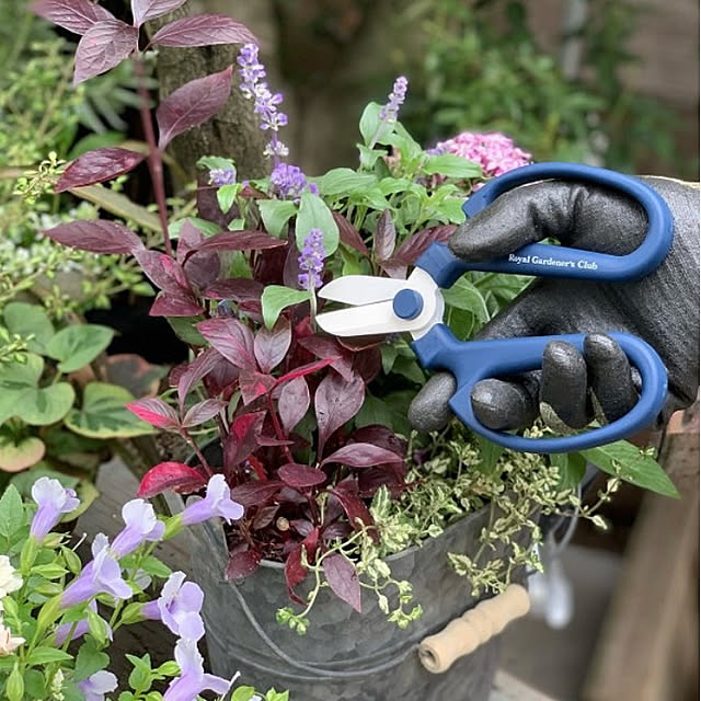Royal_Gardeners_Clubさんの実例写真