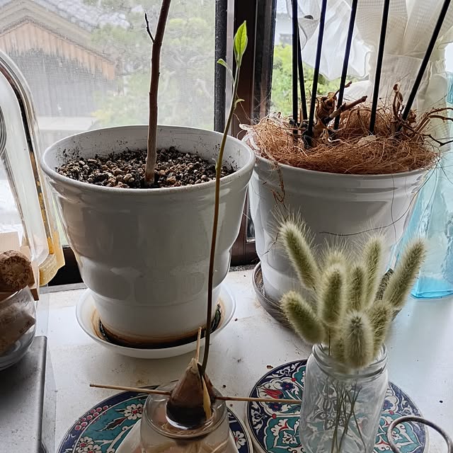 coco1204さんの部屋