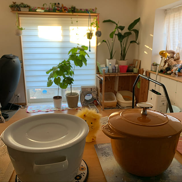 mohimikanさんの実例写真