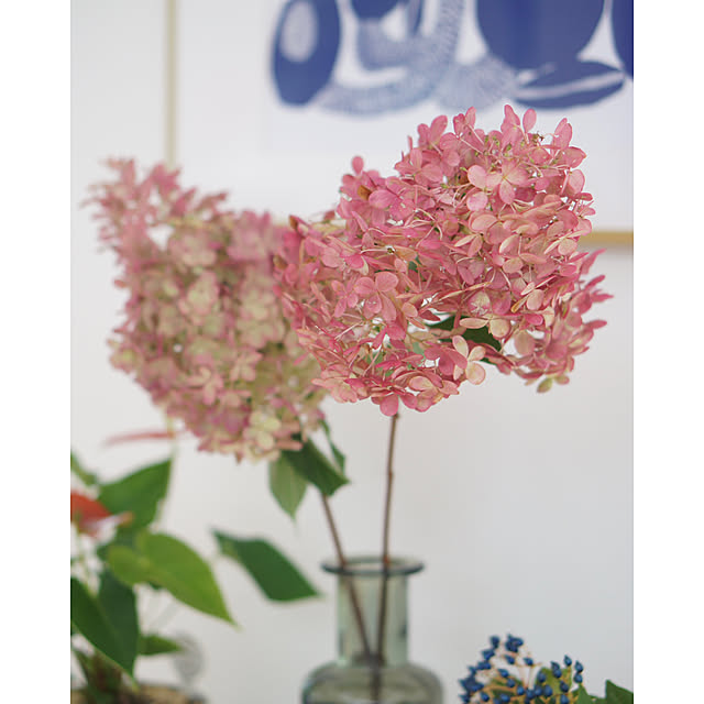noriflowerさんの部屋