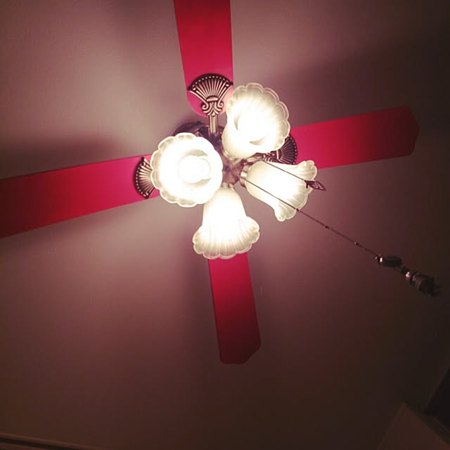miiiiさんの実例写真