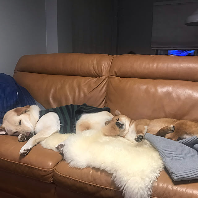 mtkさんの実例写真