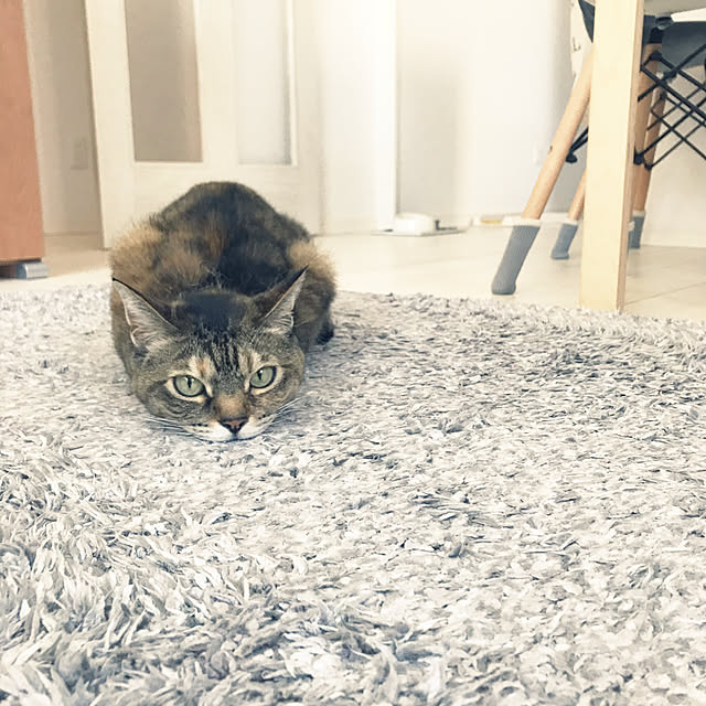 minminさんの実例写真