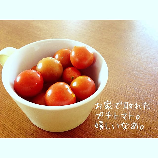TOMOBINさんの実例写真
