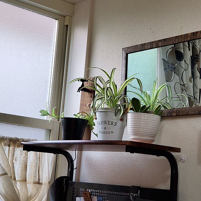 実例写真