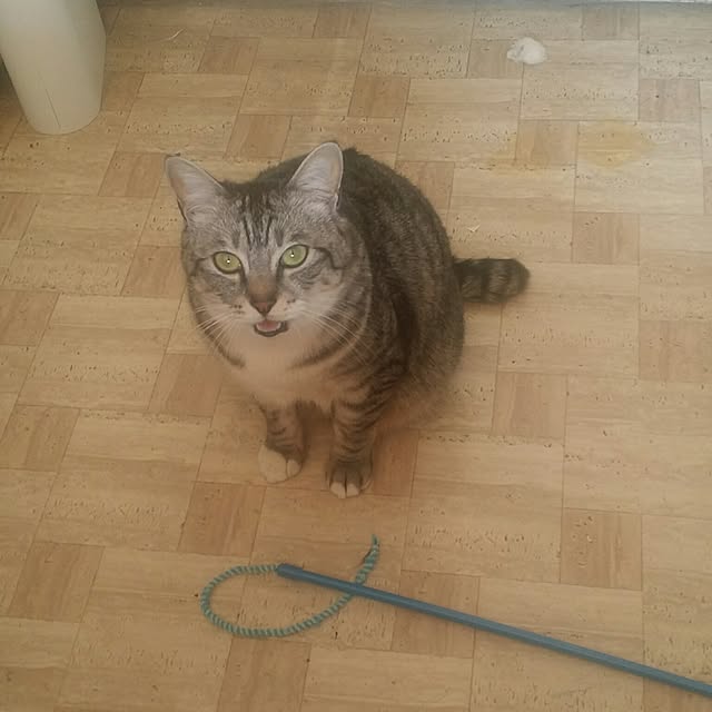 annさんの実例写真
