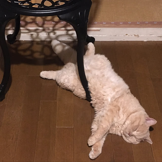 naokoさんの部屋