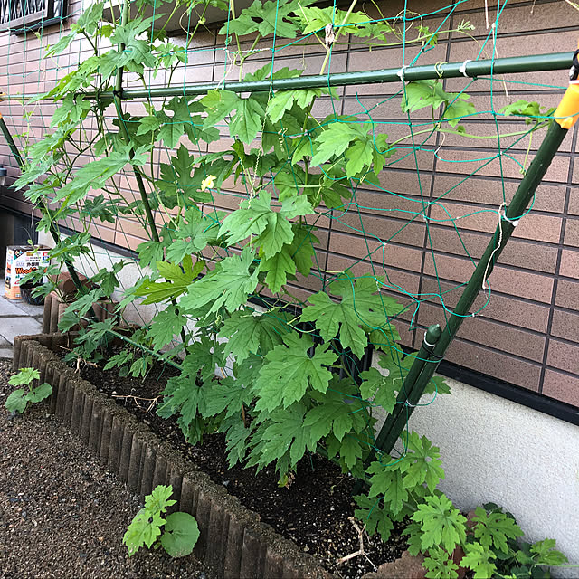 pino1227さんの実例写真