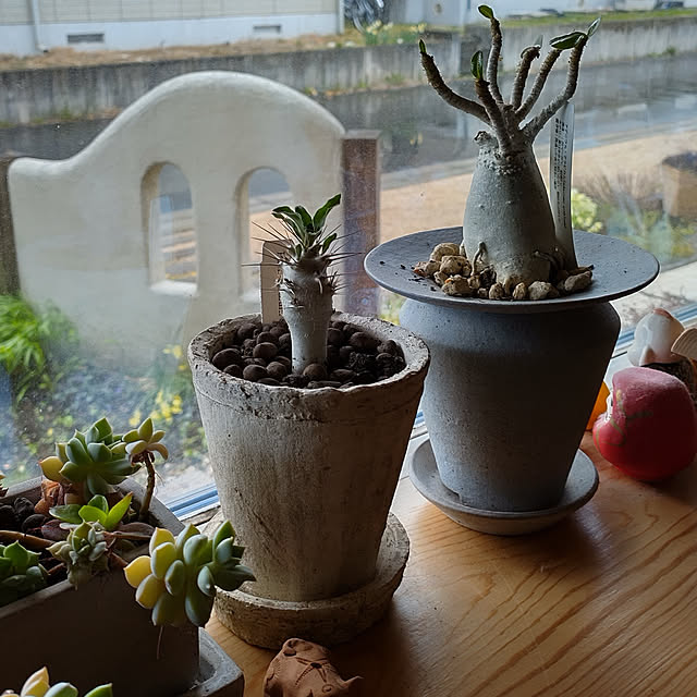 t.yumiさんの実例写真