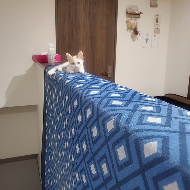 kanaさんの実例写真