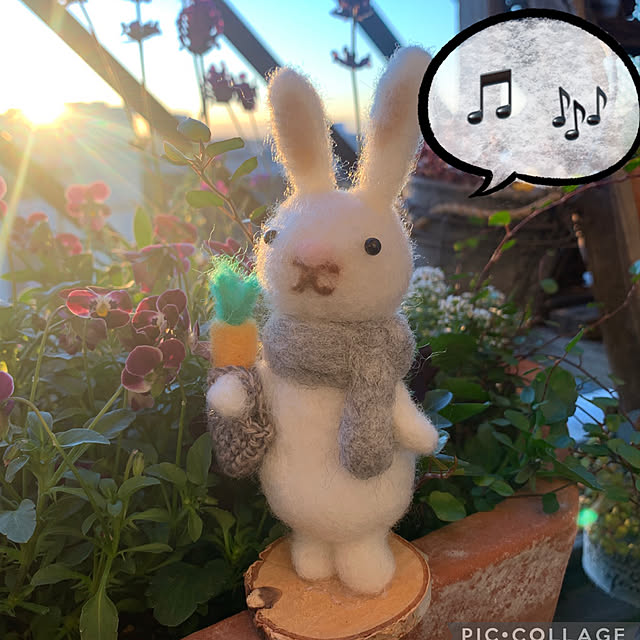 JUNさんの実例写真