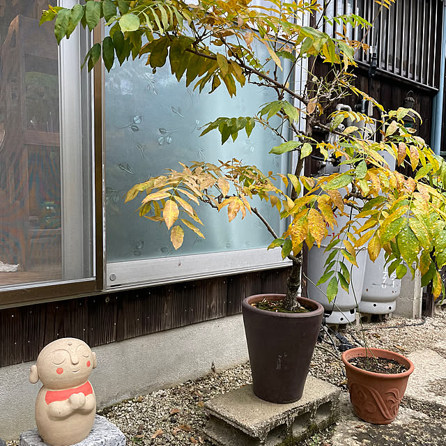 shin0719さんの部屋