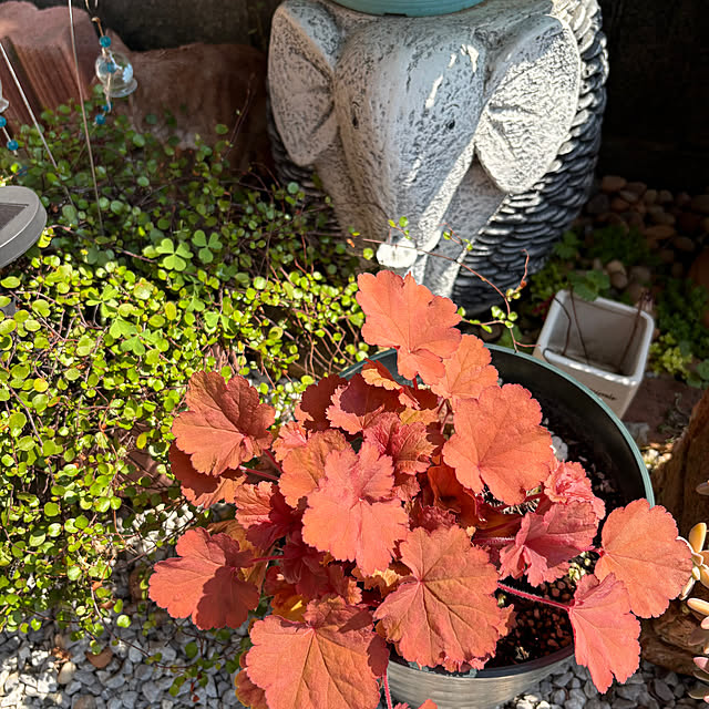 nannoさんの実例写真