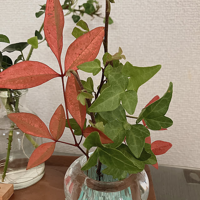 MIUさんの部屋