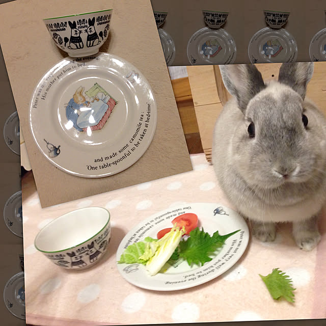 yokomokoさんの実例写真