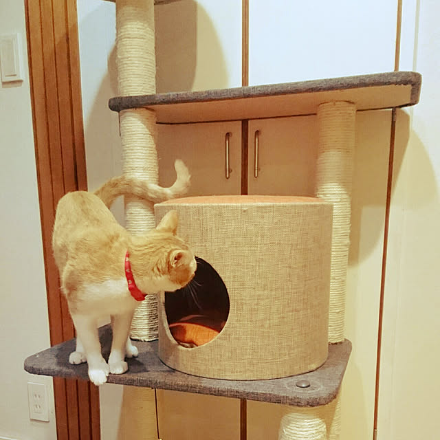 nikagonさんの実例写真