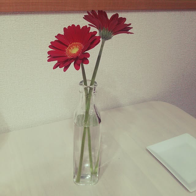 nikoさんの実例写真