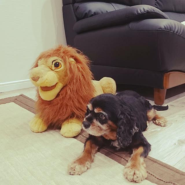 coconataさんの実例写真