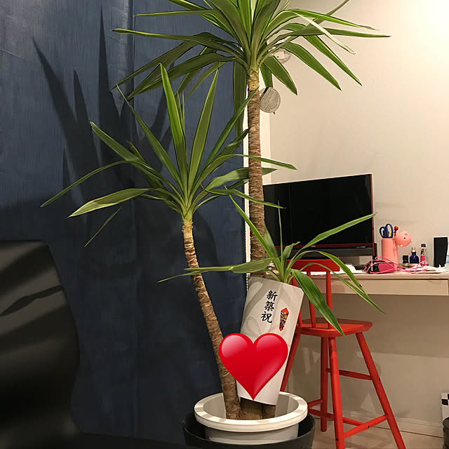 hiroさんの実例写真