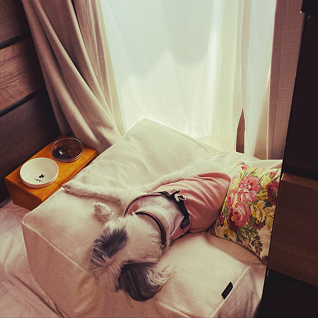 motimadoさんの実例写真