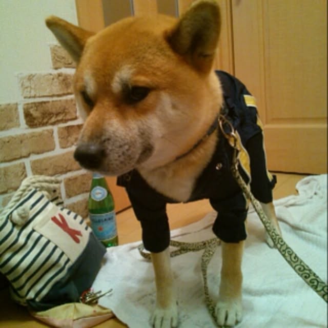 kotaさんの実例写真
