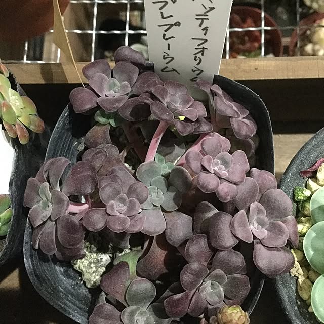 khma88さんの実例写真