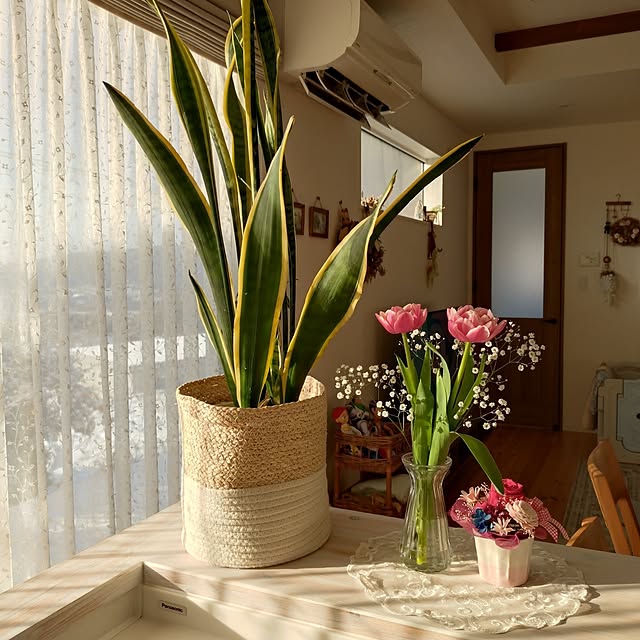 ri-eさんの実例写真