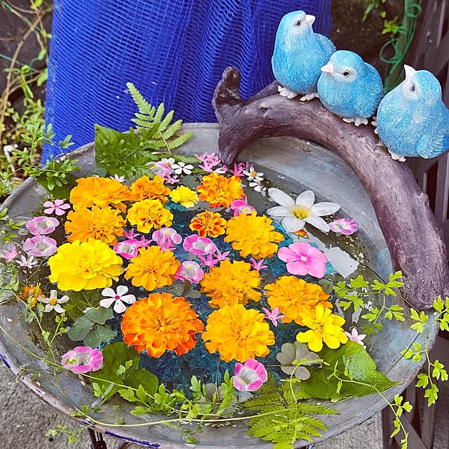 mocomocoさんの実例写真