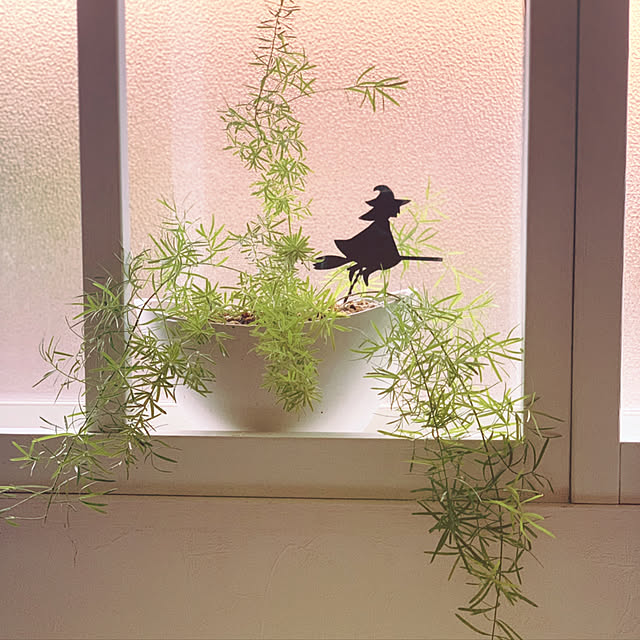 Makoさんの実例写真