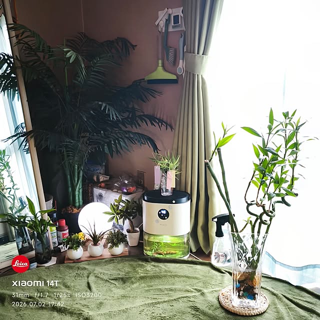 ca50meさんの実例写真