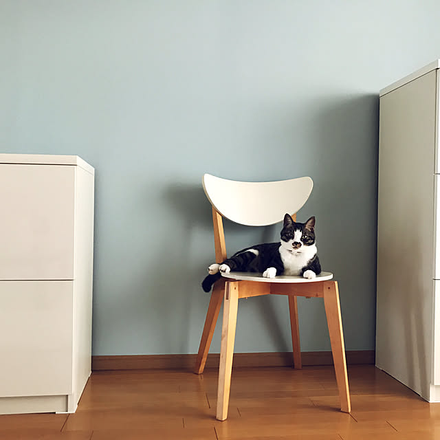 Renさんの実例写真