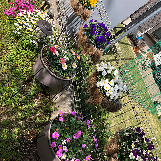 miukiさんの部屋