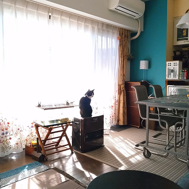 okyosan101さんの実例写真